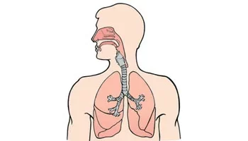 الصحة توضح أخطر الأمراض التنفسية المعدية وطرق انتقالها