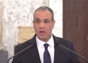 وزير الخارجية: مصر ترفض التدخلات العسكرية في سوريا وتدعو لحل سياسي شامل