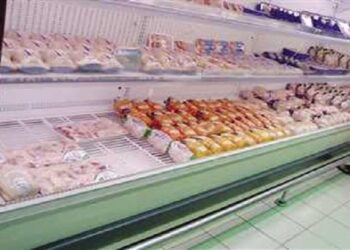 التموين تعلن سعر كيلو الدواجن المجمدة في المجمعات الاستهلاكية.. وضخ كميات كبيرة لضبط الأسواق