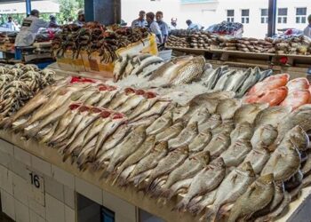 استقرار أسعار الأسماك في سوق العبور اليوم الجمعة 9 مايو 2025