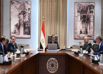 مدبولي يشيد بتنسيق الحكومة والبنك المركزي لتأمين احتياجات البلاد من النقد الأجنبي والسلع الاستراتيجية