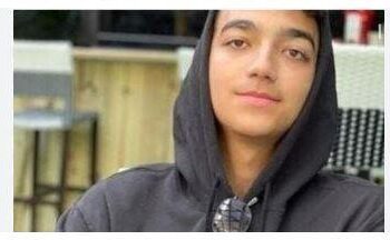 جيش الاحتلال: تسلمنا عيدان ألكسندر