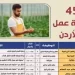 فرص عمل جديدة للعمالة المصرية في الأردن
