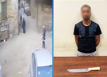 الأمن يكشف ملابسات فيديو لترويع المواطنين في باب الشعرية وضبط المتهم