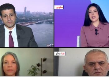 خبير دولي: إسرائيل طرف في النزاع ولا يمكنها توزيع المساعدات في غزة