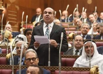 الهضيبي: قضية الطفلة مريم باتت في ذمة الدولة.. والعدالة تأخذ مجراها