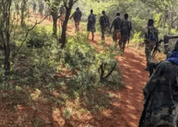 الدفاع الصومالية: مقتل 50 إرهابيا خلال معارك على حدود إقليمي هيران وشبيلي الوسطى