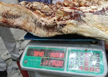 الزراعة: ضبط أكثر من 107 أطنان لحوم فاسدة خلال حملات استعدادًا لعيد الأضحى