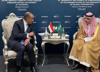 وزير الخارجية يبحث مع نظيره السعودي تداعيات التصعيد بين إسرائيل وإيران على المنطقة