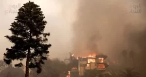 حرائق الغابات