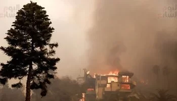 حرائق الغابات