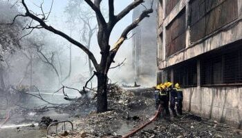 ضحايا تحطم طائرة