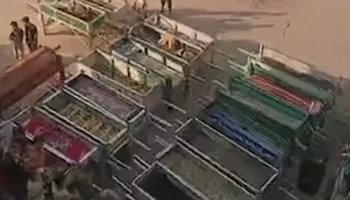 الخارجية الفلسطينية