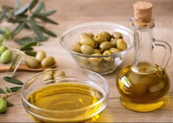 زيت الزيتون.. “الذهب السائل” الذي يجمع بين النكهة والعلاج