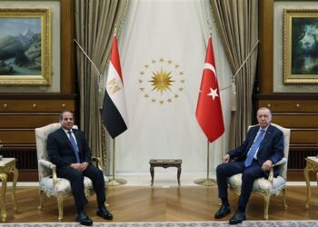 السيسي وأردوغان يبحثان الأوضاع الإقليمية والتصعيد الإسرائيلي في المنطقة