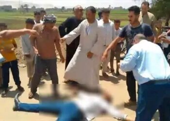 وزير الزراعة يدين الاعتداء على مسؤول حماية الأراضي بسوهاج ويؤكد استمرار حملات إزالة التعديات