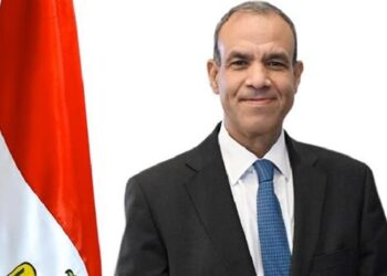 وزير الخارجية: الاقتصاد المصري يمتلك فرصًا استثمارية واعدة