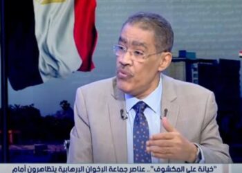 ضياء رشوان: تظاهرات «الحركة الإسلامية» بتل أبيب ضد مصر كشفت نواياهم