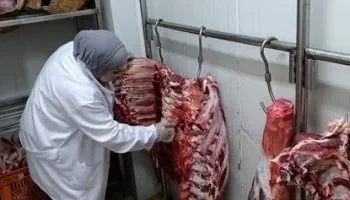 الزراعة: ضبط 120 طن لحوم وأسماك غير صالحة خلال يوليو.. والمنوفية تشهد أكبر ضربة رقابية