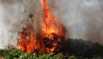 أوروبا تشتعل: موجة حر غير مسبوقة تؤجج حرائق الغابات وتضغط على البنية التحتية