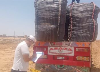 الزراعة: فحص 1.3 مليون طن بطاطس مائدة بغرض التصدير