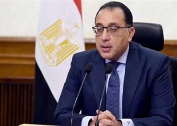 مدبولي: لقاءات استراتيجية وتقدم ملموس في مشروعات الطاقة والاستثمار ودعم الاستقرار الاقتصادي