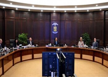 مجلس الوزراء: تخصيص أراض لبعض الشركات بنظام البيع بالدولار في 11 مدينة