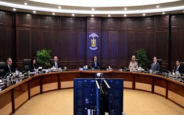 مجلس الوزراء: تخصيص أراض لبعض الشركات بنظام البيع بالدولار في 11 مدينة