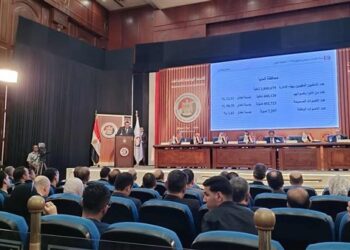 “الوطنية للانتخابات”: نسبة المشاركة في انتخابات الشيوخ بلغت 17.1%