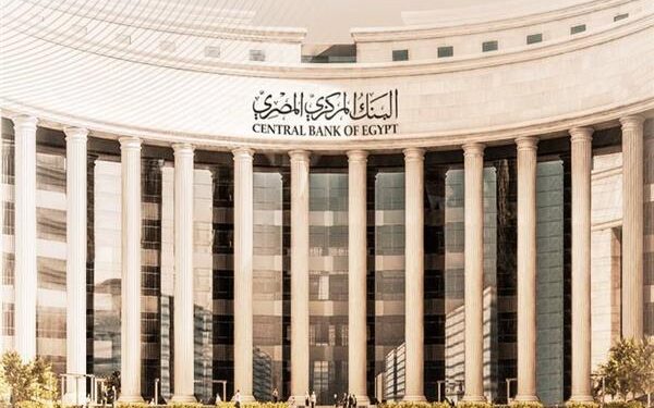 المركزي يستحوذ على “المصرية لضمان الصادرات” ويرفع مساهماته في الشركات إلى 6.5 مليار جنيه