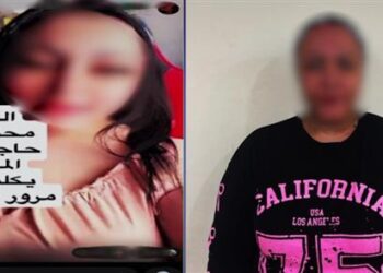 قرار جديد من النيابة ضد صاحبة فيديو “اللي محتاج رخصة يكلمني”