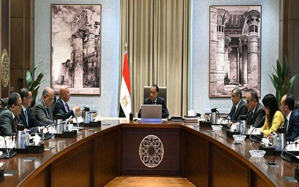 رئيس الوزراء يتابع جهود دعم وتوطين الصناعة في مصر
