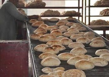 التموين: صرف الخبز المدعم مستمر رغم أعطال شبكات المحمول