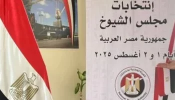 اللجان الفرعية بالخارج تواصل تصويت المصريين في انتخابات مجلس الشيوخ وسط تنظيم فني وإجراءات دقيقة