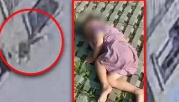 معجزة في الصين: طفل ينجو من الموت بعد سقوطه من الطابق الـ18 بفضل شجرة!