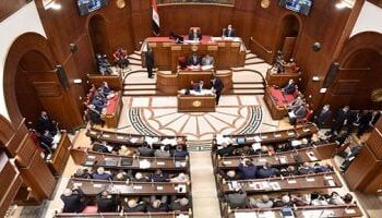 ملخص لأهم ضوابط تعيين أعضاء مجلس الشيوخ