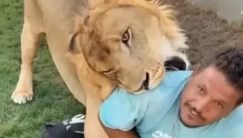 السلطات الليبية تحقق في واقعة اعتداء صاحب مزرعة بأسد على عامل مصري