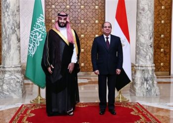 الرئيس السيسي وبن سلمان يشددان على ضرورة الإسراع في إدخال المساعدات الإنسانية لغزة