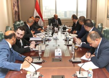 وزير الكهرباء يبحث مع مدير أتوم اكسبورت الروسية توطين الصناعات المغذية للمحطات النووية