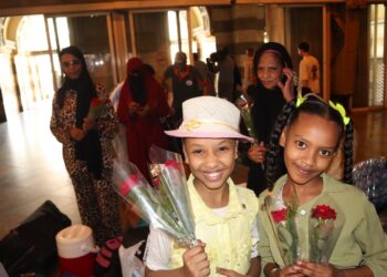 السكة الحديد: تشغيل القطار الرابع لتسهيل عودة الأشقاء السودانيين لبلدهم