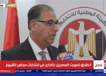 «الخارجية»: نعمل بالتنسيق مع «الوطنية للانتخابات» لتأمين سير تصويت المصريين بالخارج