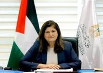 وزيرة الخارجية الفلسطينية: الفيتو الأمريكي يعطل قرارات مجلس الأمن بشأن فلسطين