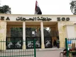 موعد افتتاح حديقة الحيوان بالجيزة 2025 بعد تطويرها وربطها بالأورمان