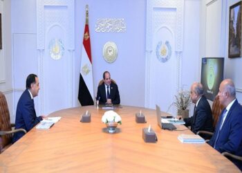 الرئيس السيسي يوجه بتعزيز قدرات الطاقة المتجددة وتطبيق معايير الجودة والتشغيل الاقتصادي