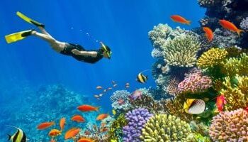 شرم الشيخ ضمن أجمل 20 وجهة سياحية في العالم لشهر نوفمبر 2025