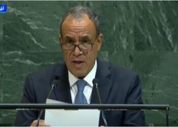 وزير الخارجية: مصر لن تسمح بتهجير الفلسطينيين أو بتصفية قضيتهم