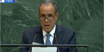 وزير الخارجية: مصر لن تسمح بتهجير الفلسطينيين أو بتصفية قضيتهم