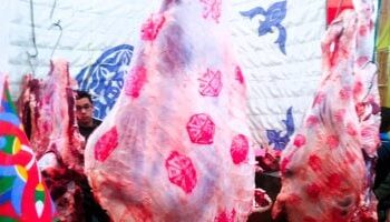 انطلاق معارض “أهلًا مدارس” بالجيزة لتوفير السلع الغذائية واللحوم بأسعار مخفضة