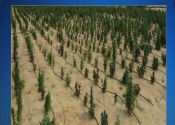 الداخلية تضبط 27,5 طن هيدرو بمزرعة على مساحة 3,5 فدان بالإسماعيلية