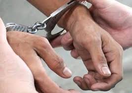 إخلاء سبيل الخادمة المتهمة بسرقة فيلا حمادة هلال بعد التصالح